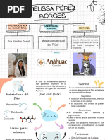 Mapa Conceptual Del Flúor 2.0