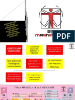 Presentación Biomagnetismo