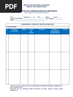 Formatos Practica Pedagogicas Licenciaturas