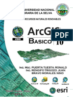 Manual Arcgis 10