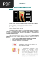 Resumo Aula 3-4 Endo I. Patologia Da Polpa e Do Periápice