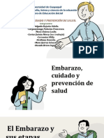 Embarazo, Cuidado y Prevención de Salud.