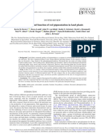 Evolution and Function of Red Pigmentation in Land Plants