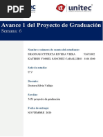 Rivera - Sanchez - PrimerAvance1 - Semana6 8.25% Revisar APA