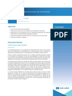 PDF Uro 3