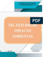 Xii - Estudio de Impacto Ambiental