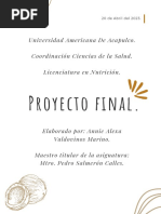 Proyecto Final AAVM