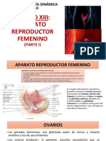 Reproductor Femenino (Parte 1)