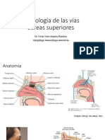 Semiología de Las Vías Aéreas Superiores-User-PC