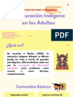 Educación Indigena