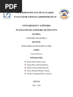 Planeacion de Auditoria Completo