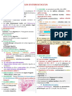 Les Enterococcus