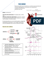 Ciclo Cardiaco