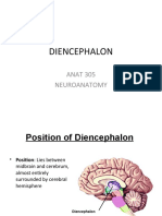 Diencephalon 2018