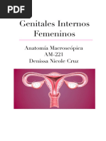 Genitales Internos Femeninos