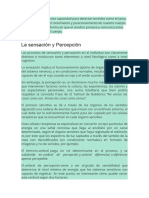 La Sensación Es Nuestra Capacidad para Detectar Sentidos Como El Tacto