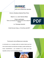 2.2 Causas Terminacion Relacion Laboral