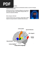 Info para Exposicion