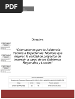 DI-011-02-PRONIED Orientación para La Asistencia Técnica A Expedientes Técnicos