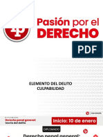 Elemento Del Delito - Culpabilidad PDF Gratis