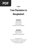 Tree Plantation in Bangladesh