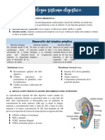 Embrio Sistema Digestivo (Resumen)