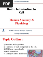 Unit 1 - Introduction To Cell