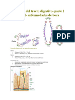 Clase5 - Digestivo