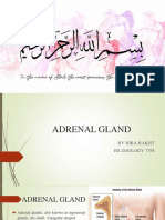 Adrenal Gland