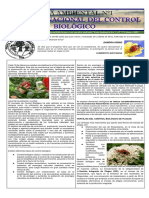 Guia Ambiental 1 Día Internacional Del Control Biológico