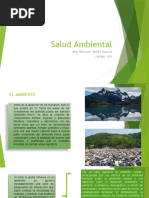 Salud Ambiental