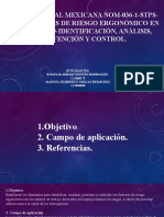 Norma Oficial Mexicana Nom-036-1-Stps-2018, Factores de Riesgo