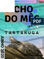 Livreto de Atividades. Tartaruga