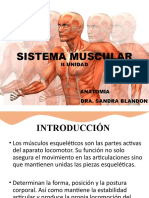 Sistema Muscular