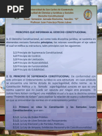 Principios Rectores Del Derecho Constitucional Clase No.4