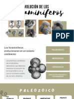 Evolucion de Foraminiferos