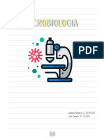 Microbiologia, Segundo Cuadro.