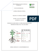 Práctica 5 - Potencial Hidrico