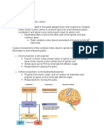 CNS 5 Motor System