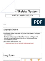 Human Skeletal System PPT