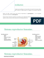 Sesión 5 - Sistema Reproductor Femenino y Sistema Reproductor Masculino