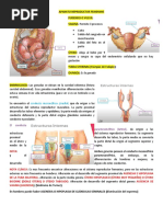 Aparato Reproductor Femenino