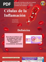 Células de La Inflamación - Grupo 7