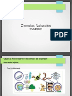 Ciencias Naturales Viernes 23 de Abril