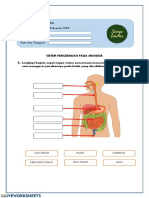 LKPD Sistem Pencernaan 2