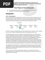 Pigment Chromatography 3BGU February 2022