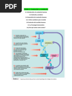 Tema 3 Limpio