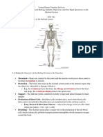 CSEC Human and Social Biology - The Skeletal System