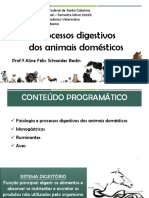 Processos Digestivos Dos Animais Domésticos: Prof. Aline Félix Schneider Bedin