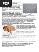 Trabajo de Naturaleza